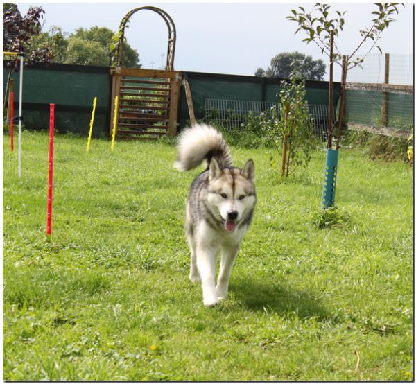 Besuch Nanooq 108.jpg